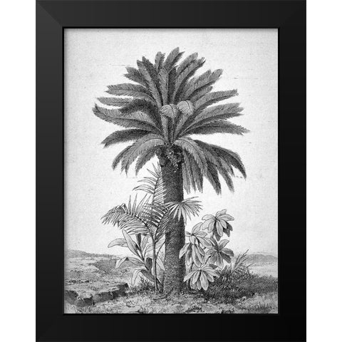 Palmier Black Modern Wood Framed Art Print by BRAUN Studio