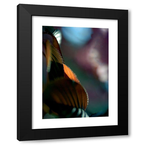 Feuilles Prunus 2 Black Modern Wood Framed Art Print by Ayrault, Marc