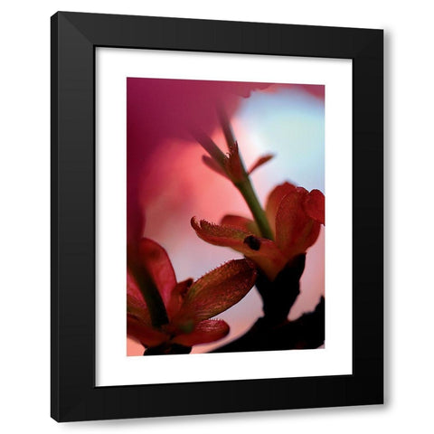 Prunus 3 Black Modern Wood Framed Art Print by Ayrault, Marc