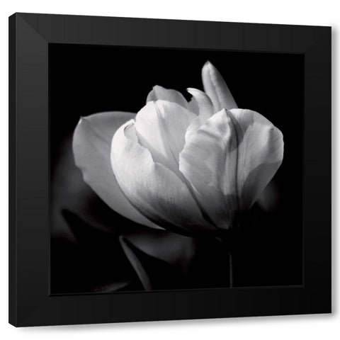 Morning caress Black Modern Wood Framed Art Print by Mercier, Bruno