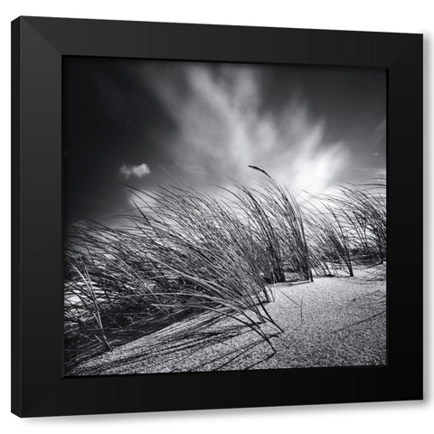 Suivre le vent Black Modern Wood Framed Art Print with Double Matting by Etchepare, Alain