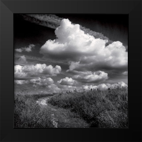 La clef des champs I Black Modern Wood Framed Art Print by de Lattre, Pascal