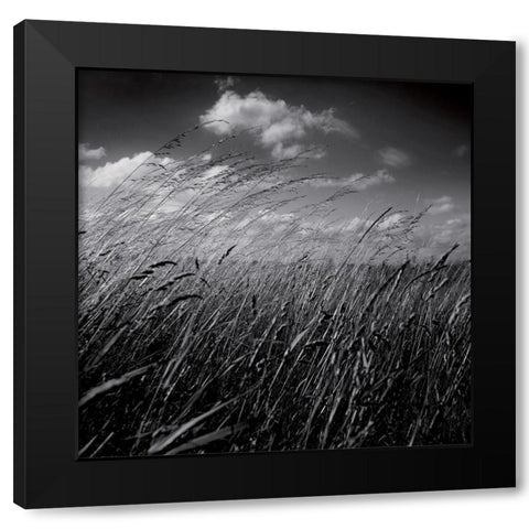 La clef des champs II Black Modern Wood Framed Art Print with Double Matting by de Lattre, Pascal