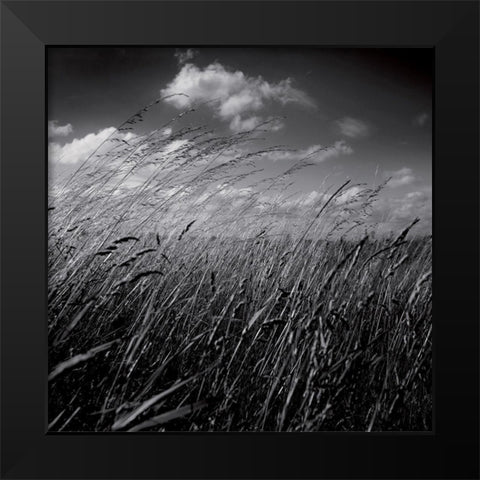 La clef des champs II Black Modern Wood Framed Art Print by de Lattre, Pascal