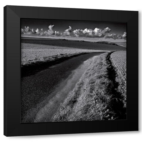 La clef des champs III Black Modern Wood Framed Art Print with Double Matting by de Lattre, Pascal