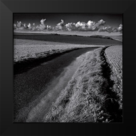 La clef des champs III Black Modern Wood Framed Art Print by de Lattre, Pascal