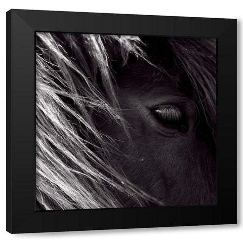 Honey poney Black Modern Wood Framed Art Print by de Lattre, Pascal