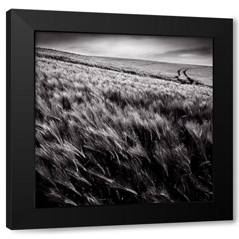 Dans le sens des epis Black Modern Wood Framed Art Print with Double Matting by de Lattre, Pascal