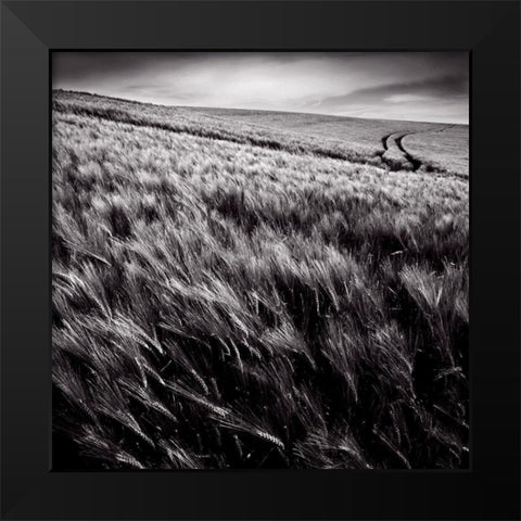 Dans le sens des epis Black Modern Wood Framed Art Print by de Lattre, Pascal