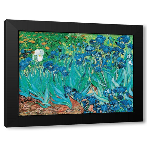 Iris Black Modern Wood Framed Art Print by van Gogh, Vincent