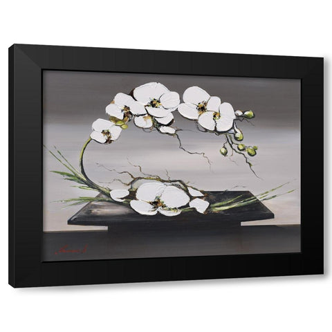 Bonheur dorchideÂ´es blanches I Black Modern Wood Framed Art Print with Double Matting by Tramoni, Oliver