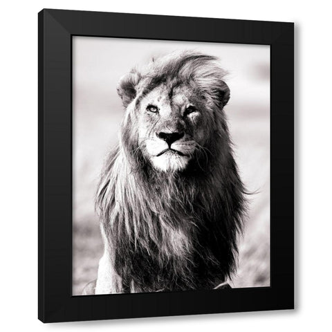 Majesty Black Modern Wood Framed Art Print by Blonde Attitude