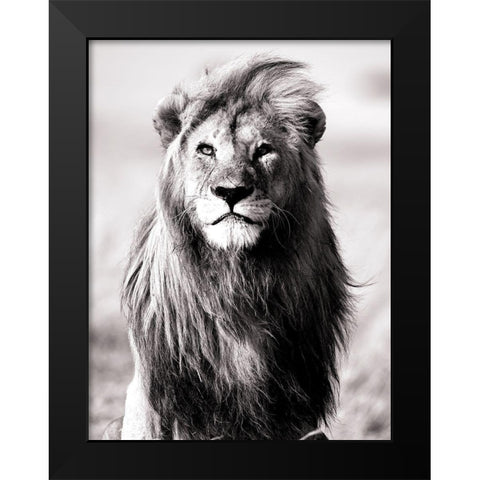 Majesty Black Modern Wood Framed Art Print by Blonde Attitude