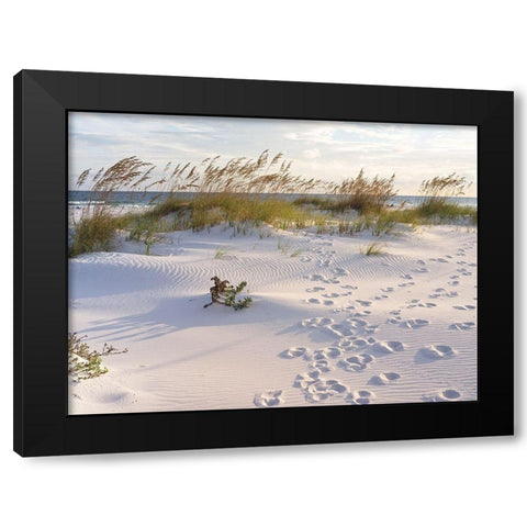 Plage 11 Black Modern Wood Framed Art Print by Braun Studio