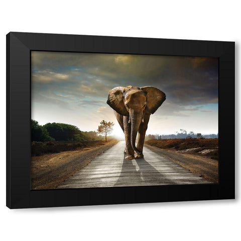 Majestic Black Modern Wood Framed Art Print with Double Matting by Braun Studio