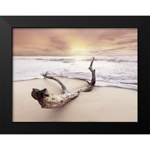Driftwood on beach Black Modern Wood Framed Art Print by Braun Studio