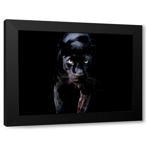 PanthÃ¨re Noire Black Modern Wood Framed Art Print by Braun Studio