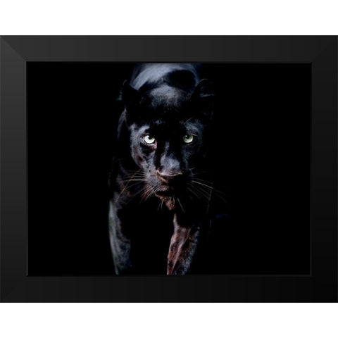 PanthÃ¨re Noire Black Modern Wood Framed Art Print by Braun Studio