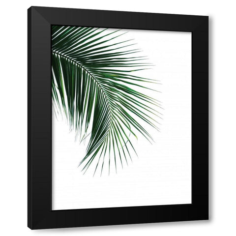 Green Palm Tree I Black Modern Wood Framed Art Print by Braun Studio