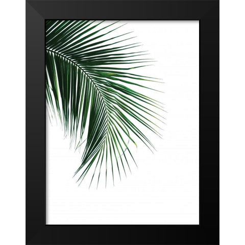 Green Palm Tree I Black Modern Wood Framed Art Print by Braun Studio