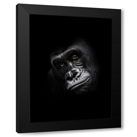 Gorilla Black Modern Wood Framed Art Print with Double Matting by Braun Studio