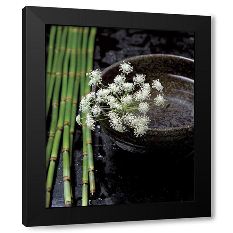 Printemps de bambous Black Modern Wood Framed Art Print by Photographie Collection
