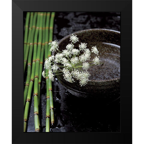 Printemps de bambous Black Modern Wood Framed Art Print by Photographie Collection