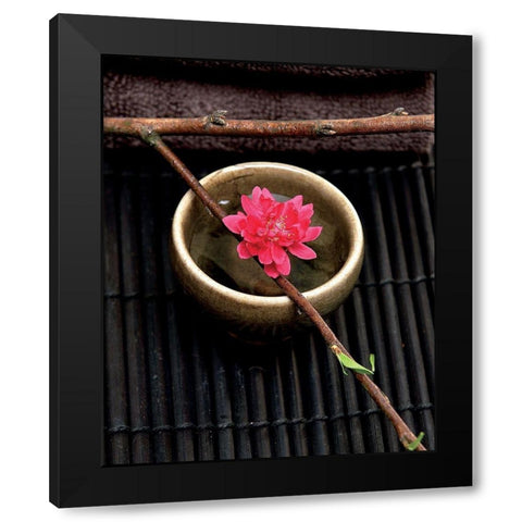 Spa concept Black Modern Wood Framed Art Print with Double Matting by Photographie Collection