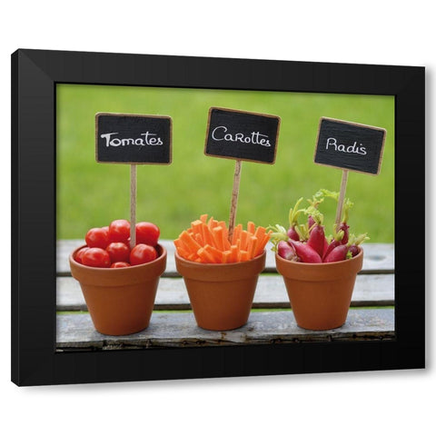 Potager Black Modern Wood Framed Art Print by Chatelain, Sonia