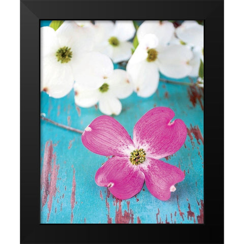 Fleurs du matin Black Modern Wood Framed Art Print by Fox, Susan