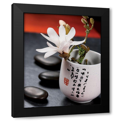 Composition Zen - Magnolia Stellata 2 Black Modern Wood Framed Art Print with Double Matting by Beyler, Catherine