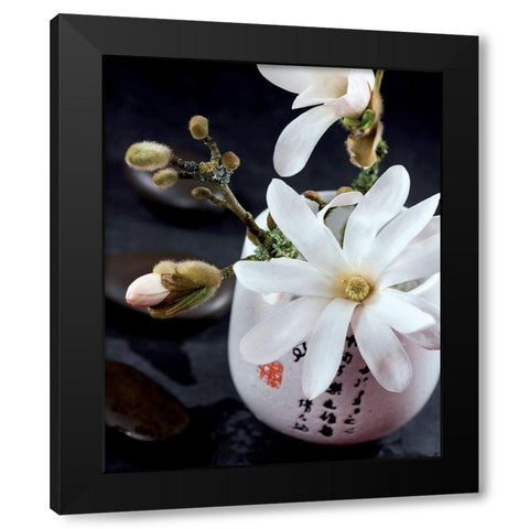 Composition Zen - Magnolia Stellata 1 Black Modern Wood Framed Art Print with Double Matting by Beyler, Catherine