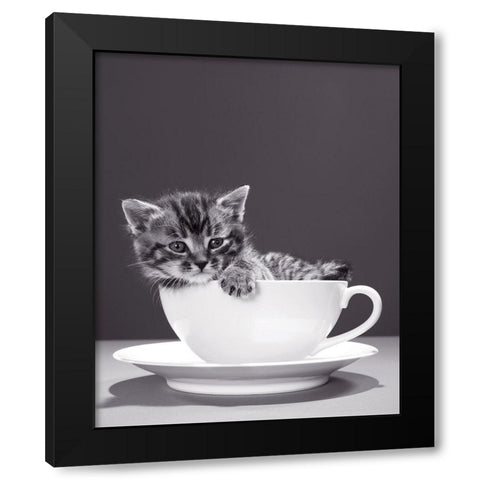 Chat-Tasse Black Modern Wood Framed Art Print by Braun Studio