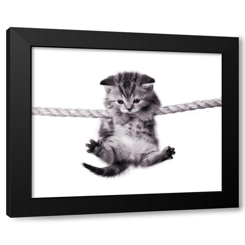 Oups ! Black Modern Wood Framed Art Print by Braun Studio
