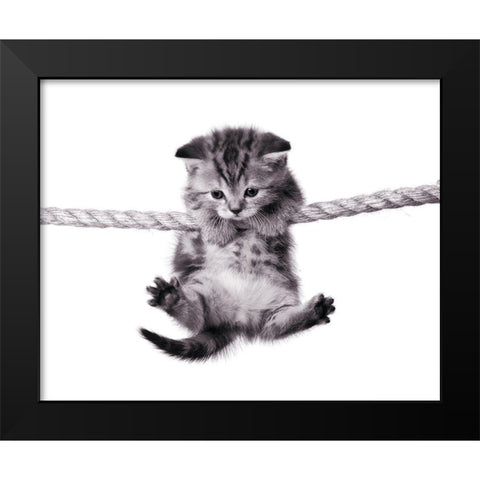 Oups ! Black Modern Wood Framed Art Print by Braun Studio