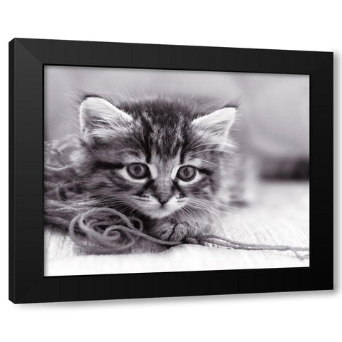 Tu viens jouer ? Black Modern Wood Framed Art Print by Braun Studio