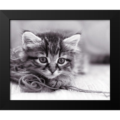 Tu viens jouer ? Black Modern Wood Framed Art Print by Braun Studio