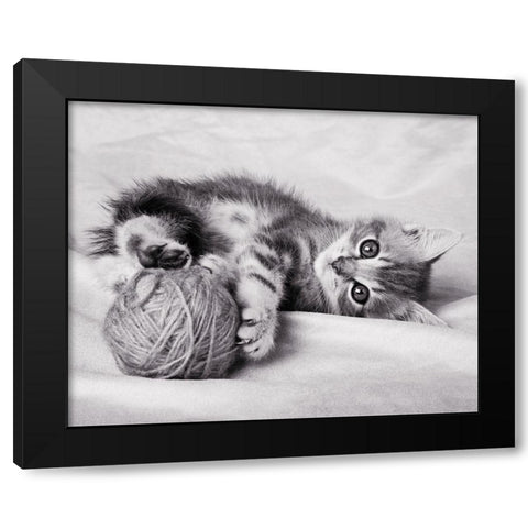 La pelote Black Modern Wood Framed Art Print by Braun Studio