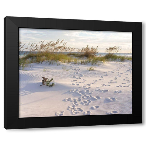Plage 11 Black Modern Wood Framed Art Print with Double Matting by Braun Studio