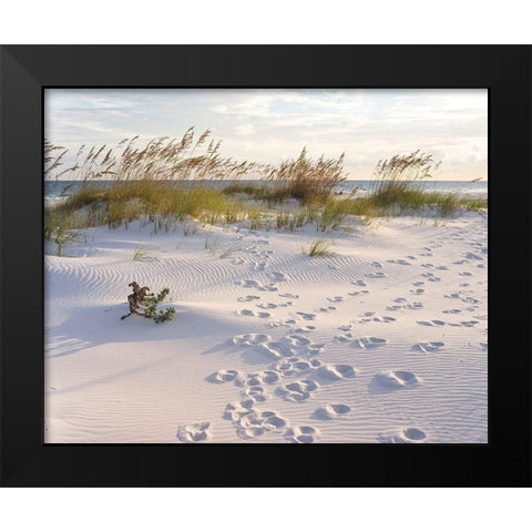 Plage 11 Black Modern Wood Framed Art Print by Braun Studio