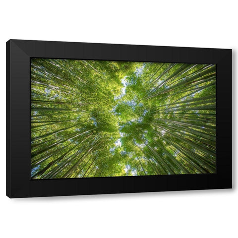 Ciel darbres Black Modern Wood Framed Art Print with Double Matting by Braun Studio