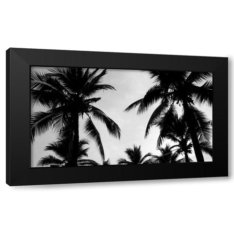 Ciel de Palmiers Black Modern Wood Framed Art Print by Braun Studio