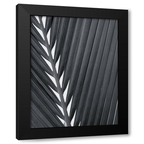 Feuillage Design Black Modern Wood Framed Art Print by Braun Studio