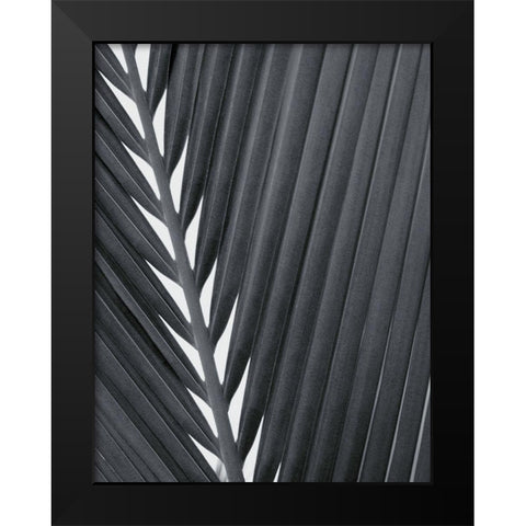 Feuillage Design Black Modern Wood Framed Art Print by Braun Studio
