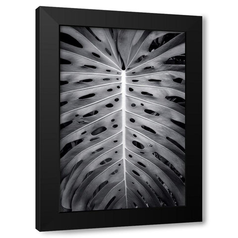 Feuillage Monstera Black Modern Wood Framed Art Print by Braun Studio