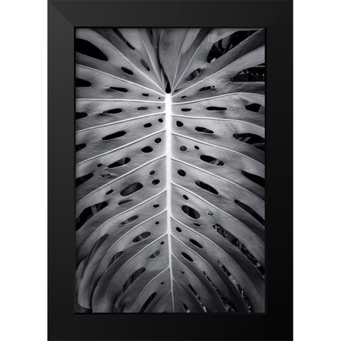 Feuillage Monstera Black Modern Wood Framed Art Print by Braun Studio
