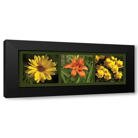 Fleurs Black Modern Wood Framed Art Print with Double Matting by Pinsard, Laurent