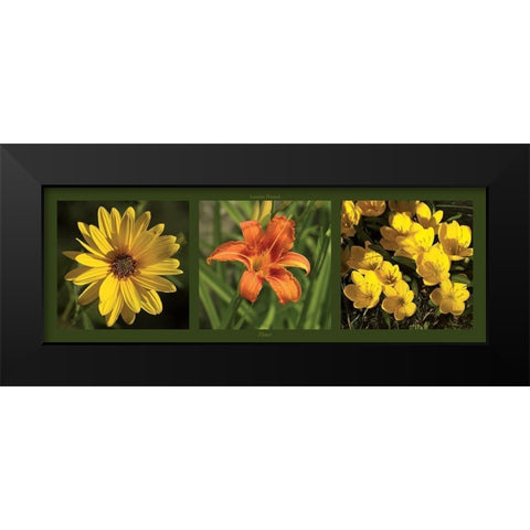 Fleurs Black Modern Wood Framed Art Print by Pinsard, Laurent