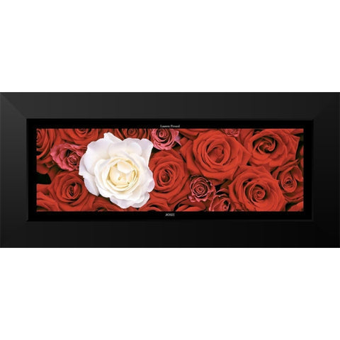 Roses I Black Modern Wood Framed Art Print by Pinsard, Laurent