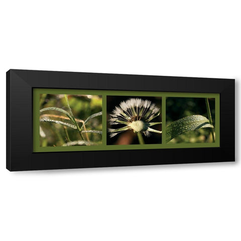 Rosee Black Modern Wood Framed Art Print with Double Matting by Pinsard, Laurent